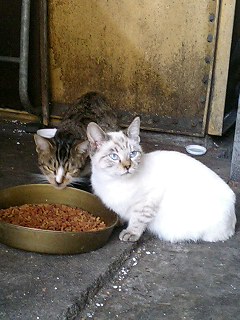 �L����