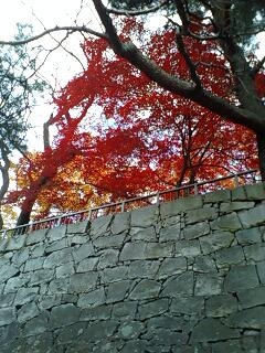 城跡の紅葉