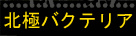 �k�Ƀo�N�e���A/Hotukyoku Bacteria